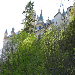 Neuschwanstein  Picture 125.jpg